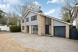 Photo 1- click for photo gallery